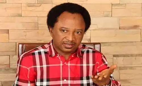 Senator Shehu Sani