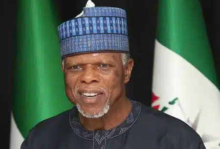 Hameed Ali, Nigeria Customs Service