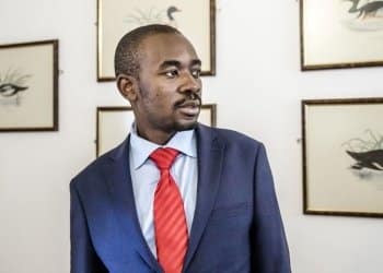 Zimbabwe's MDC opposition leader Nelson Chamisa