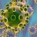 Coronavirus Pandemic in Nigeria
