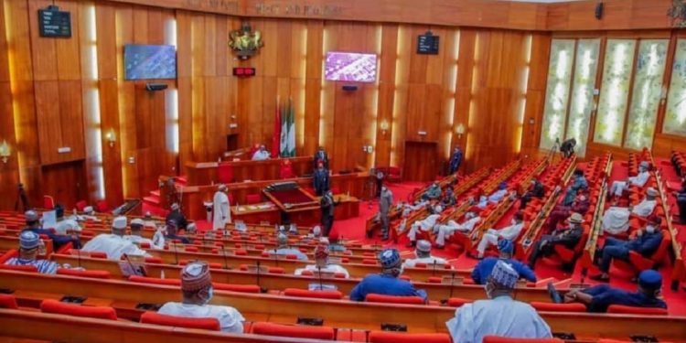 Nigerian Senate Plenary Session