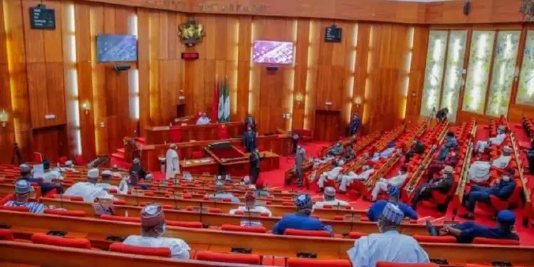 Political culture in the Nigerian Senate Plenary Session - Tax Reform - State Police
