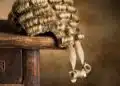 Lawyers wig