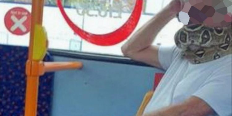 A man riding on a bus in Salford using a snake as a face mask