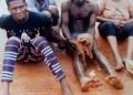Police arrest criminals with human skull