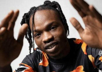 Afeez Adeshina Fashola - Naira Marley on SARS