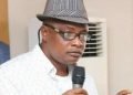 Olayinka Agboola Parrot Extra