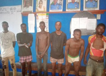 police arrested suspected cultists in ogun