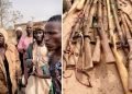 Fulani herdsmen intercepted