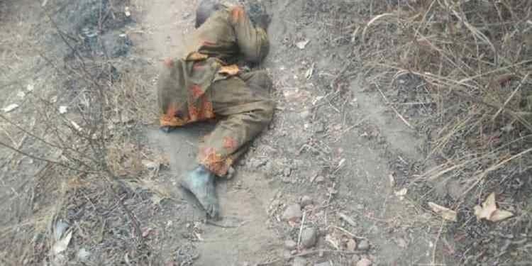 igangan-cocoa-farmer