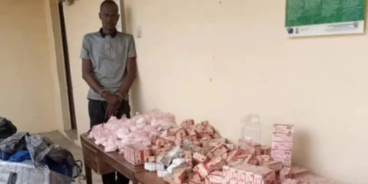 Boko Haram insurgents arrested by NDLEA