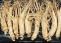 Health Benefits of Ginseng