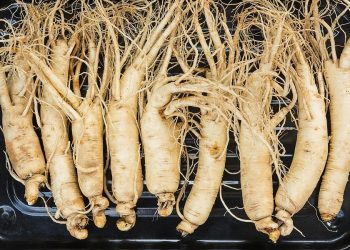 Health Benefits of Ginseng
