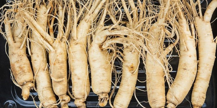 Health Benefits of Ginseng