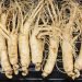 Health Benefits of Ginseng