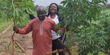 TME 419b and its 6 months old