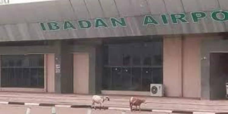 Oyo Govt on Ibadan Airport