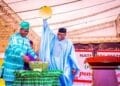 Ekiti Governor Fayemi and Runsewe at NAFEST 2021