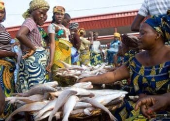 fish sellers in ogun state