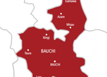 Bauchi State Map