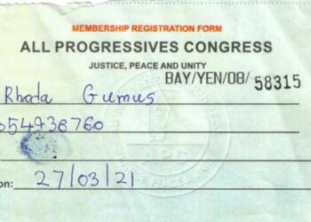 INEC Nominee Prof Gumus