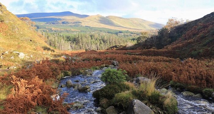 Ireland's biggest wilderness