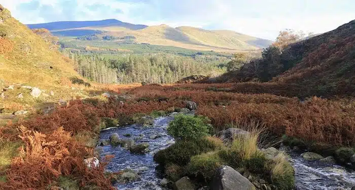 Ireland's biggest wilderness
