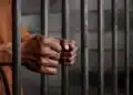 Police net - Jail prison