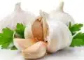 foods that boosts your immune system