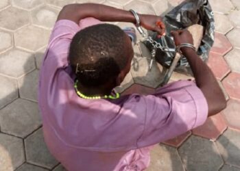 Deliver Human Parts Dealer Suspect