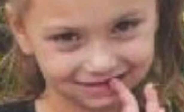 Missing girl found alive in secret room