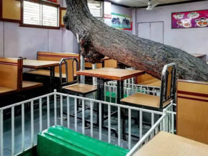 The New Lucky Restaurant, Ahemadabad - India