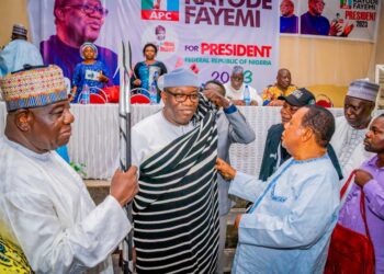 Kayode Fayemi in North Central