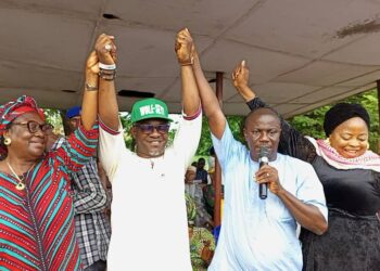 Wolekanle is PDP Oyo North Senatorial Canddate