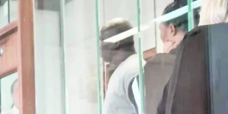 Ike Ekweremadu and his wife, Beatrice