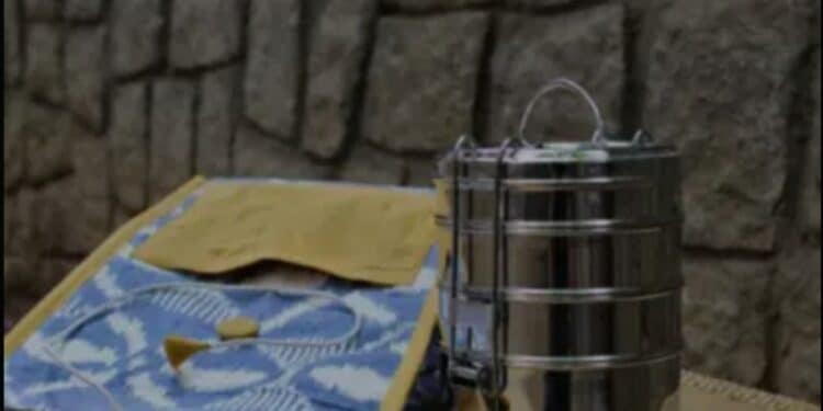 Lunch bag for food t boost immunity