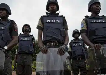 Nigerian Police Officers