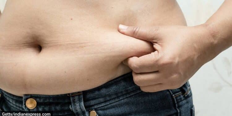 Facts Belly Fat