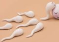 Semen and Sperm