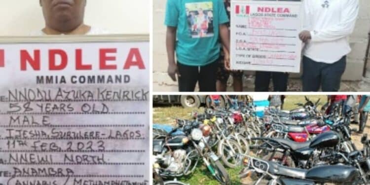NDLEAS Arrests High Priest Nnodu Azuka Kenrick