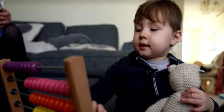 Teddy Hobbs Britain's youngest Mensa member