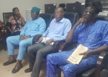 IITA, World Bank, Ogun govt. launch information system for farmers