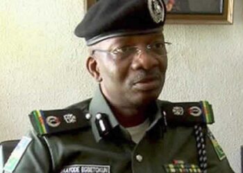 Acting Inspector General of Police - IGP - Kayode Egbetokun