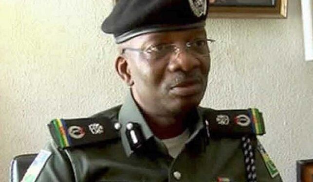 Acting Inspector General of Police - IGP - Kayode Egbetokun
