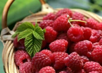 Raspberries