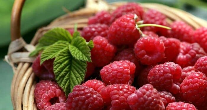 Raspberries