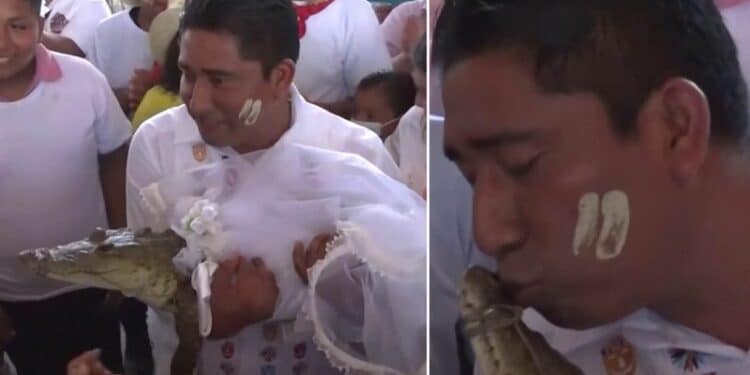 Mexican Mayor weds reptile