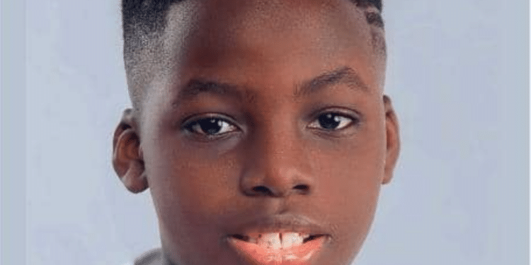 Oluwademilade Odumuboni Toyota Global Contest