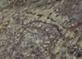 4,000-year-old rock with mysterious markings
