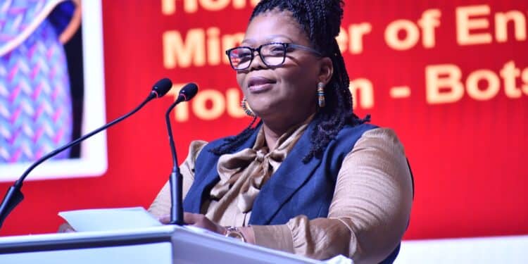 Botswana Minister of Environment and Tourism, Ms Philda Mani Kereng makes case for Digital Tourism